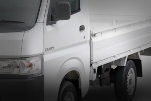 Suzuki New Carry Pick-Up 22