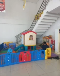 cinere2