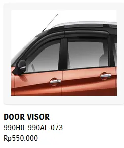 doorvisor